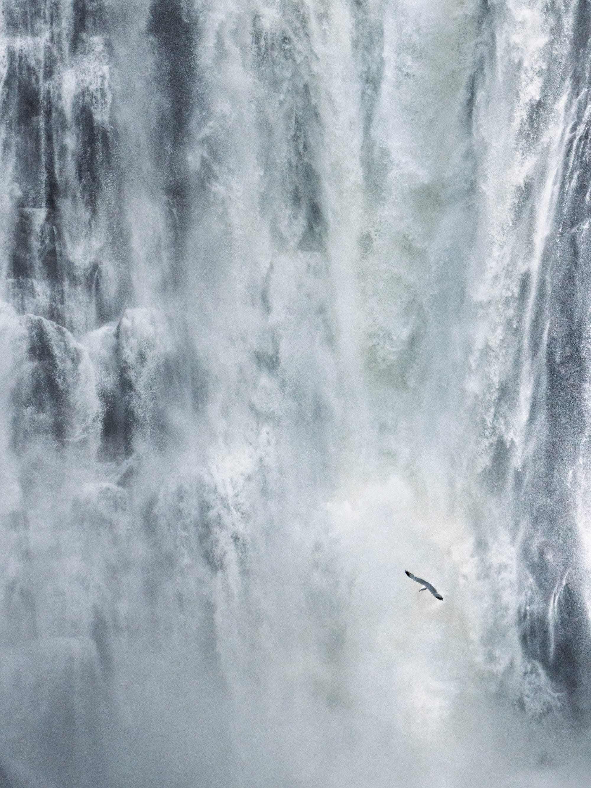 Photographie de nature, chutes