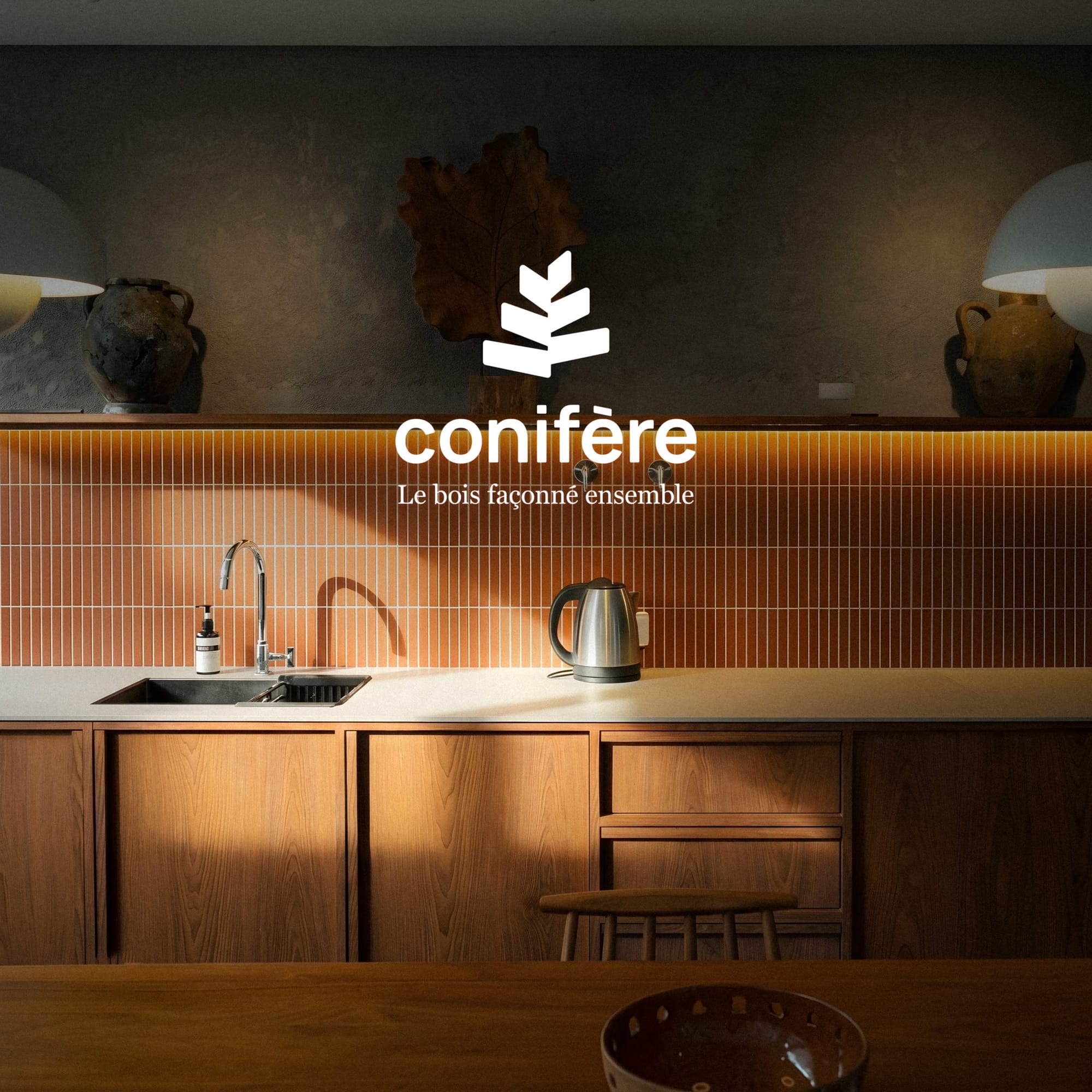Conifère